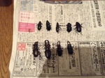 写真@.jpeg