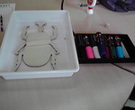 1-201208161017000.jpg