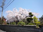 110406 001.jpg
