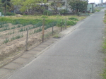 DSC0009399.jpg