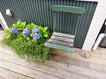 DSCN0541_R.jpg
