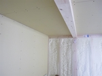 IMGP2603_R.jpg