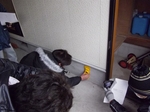 IMGP3505_R.jpg