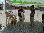 P1070067_R.jpg