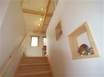 R1107496_R.jpg